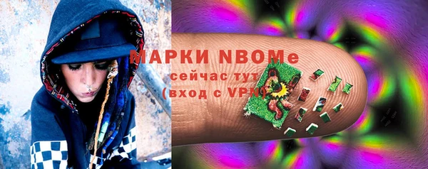 шишки Баксан