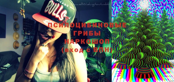 шишки Баксан