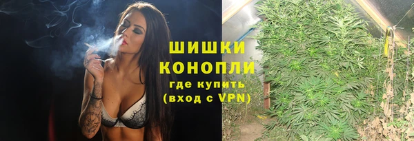 шишки Баксан