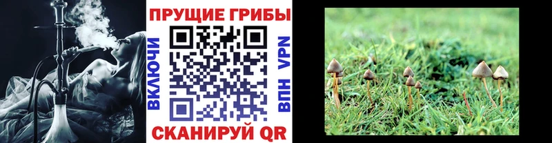 Псилоцибиновые грибы мухоморы  Ливны 