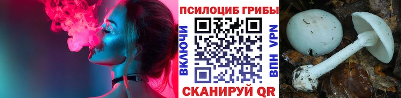 Псилоцибиновые грибы Magic Shrooms Ливны